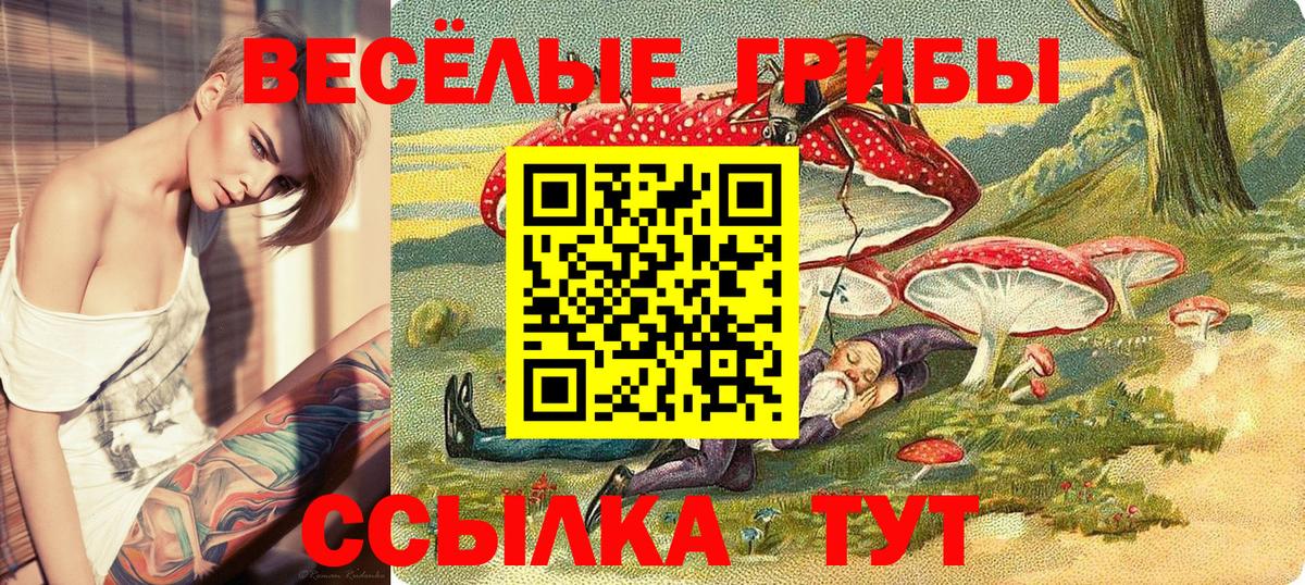 Коломна  Галлюциногенные грибы мухоморы  Вход с VPN 