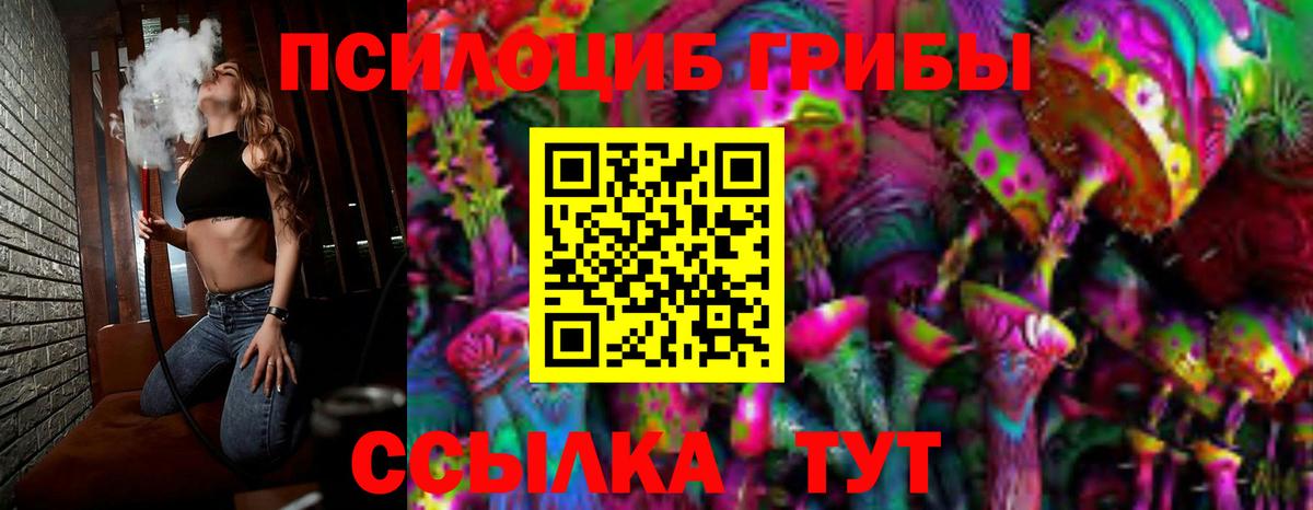 Псилоцибиновые грибы Cubensis Коломна